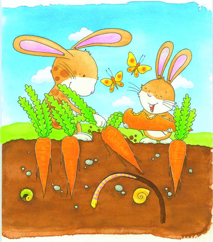 Schichtenpuzzle Gemüsebeet