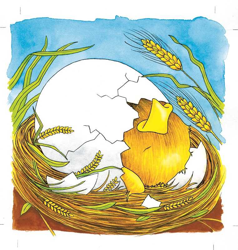 Schichtenpuzzle Das Huhn