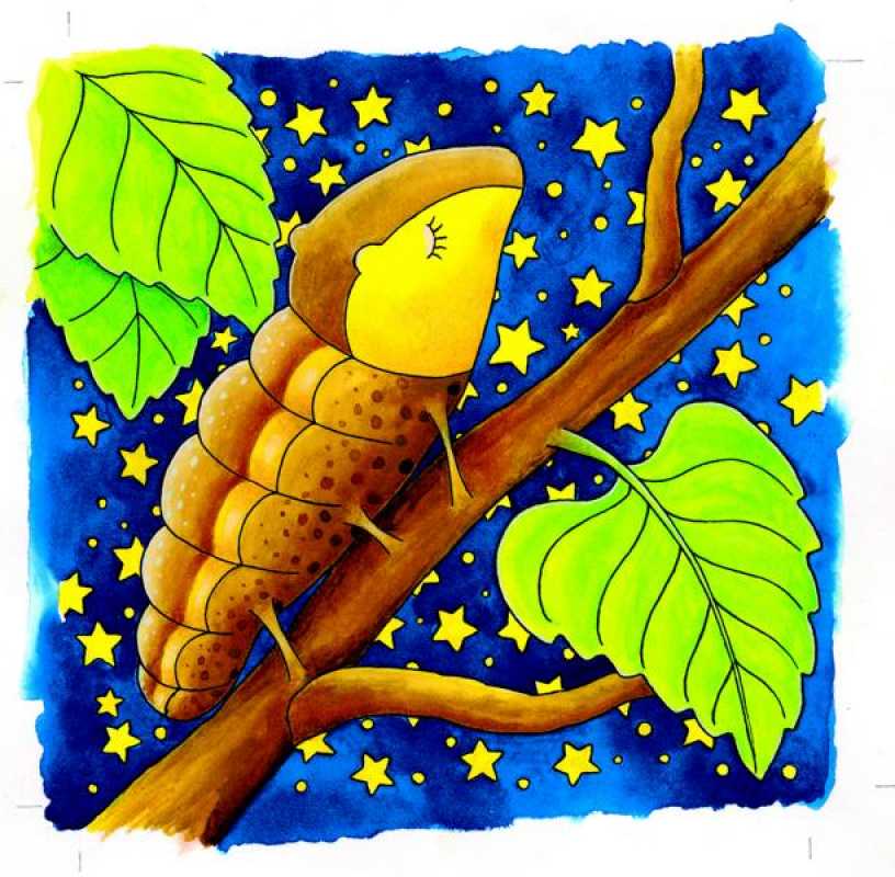 Schichtenpuzzle Die Raupe