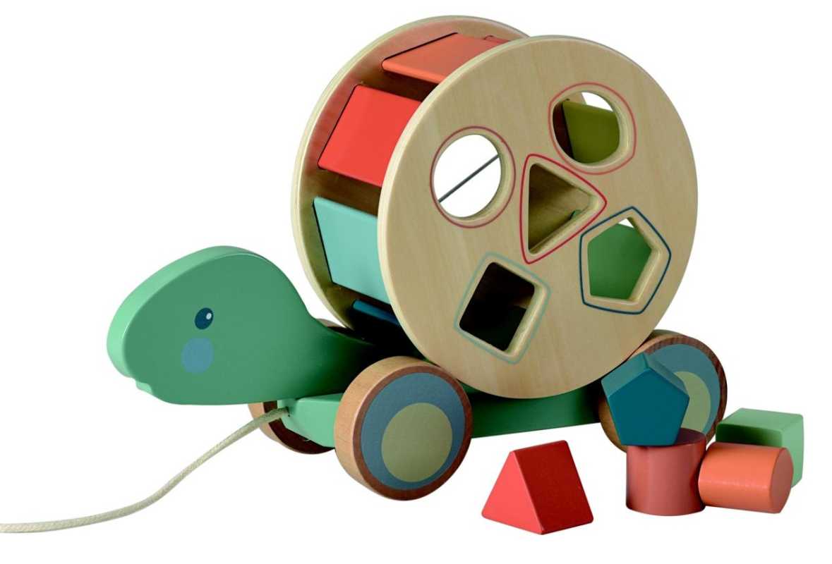 Nachzieh-Schildkröte mit Formenhaus