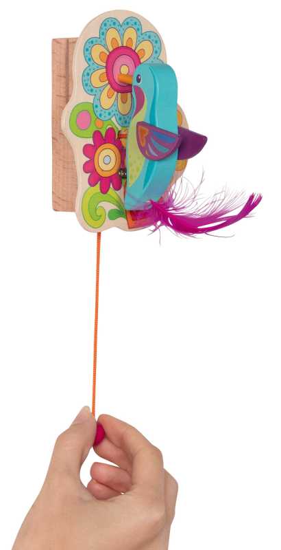 Türklopfer Kolibri Tiki