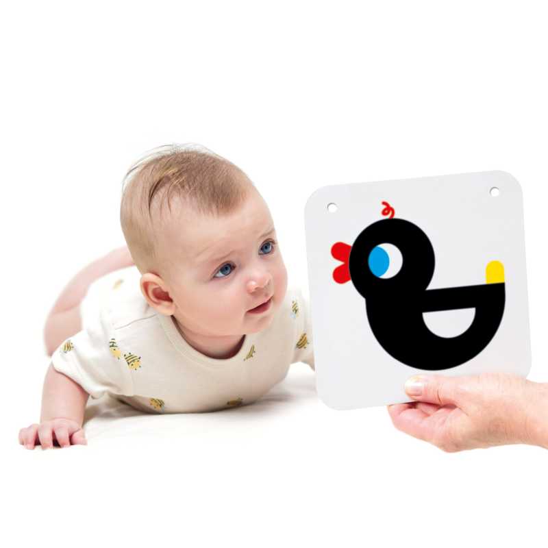 Baby Karten "High Contrast" 0m+ - 3m+ / 12 doppelseitige Karten