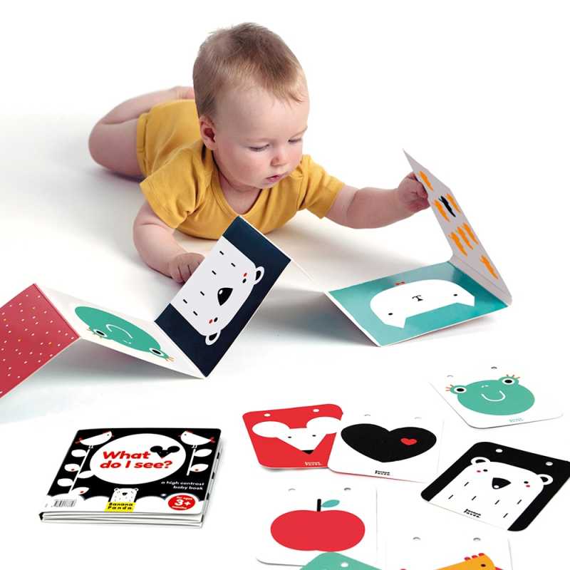 Baby Buch "High Contrast" 0m+/3m+/6m+ / 2 Bücher + 7 doppelseitige Karten