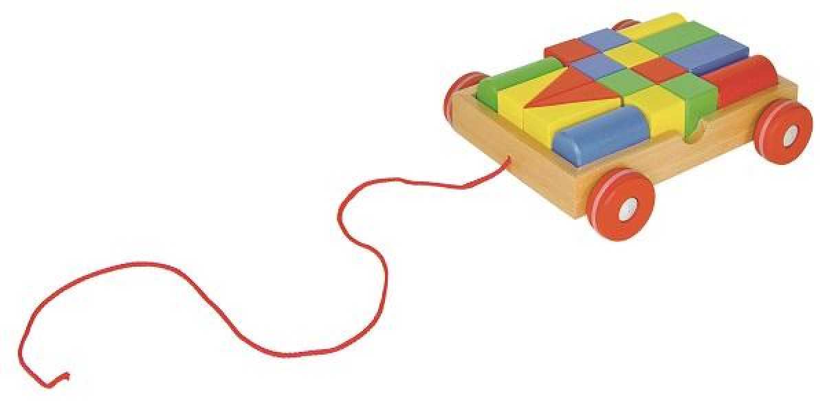 58558