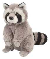 Plüsch Waschbär 30 cm Cuddlekin