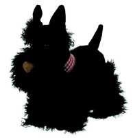 Plüsch Pudel Walter mit Halsband 20 cm