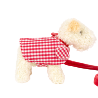 Hund Eliot klein mit Leine und Mantel in Seiltasche