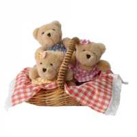 Teddy Bär's Picnic Set